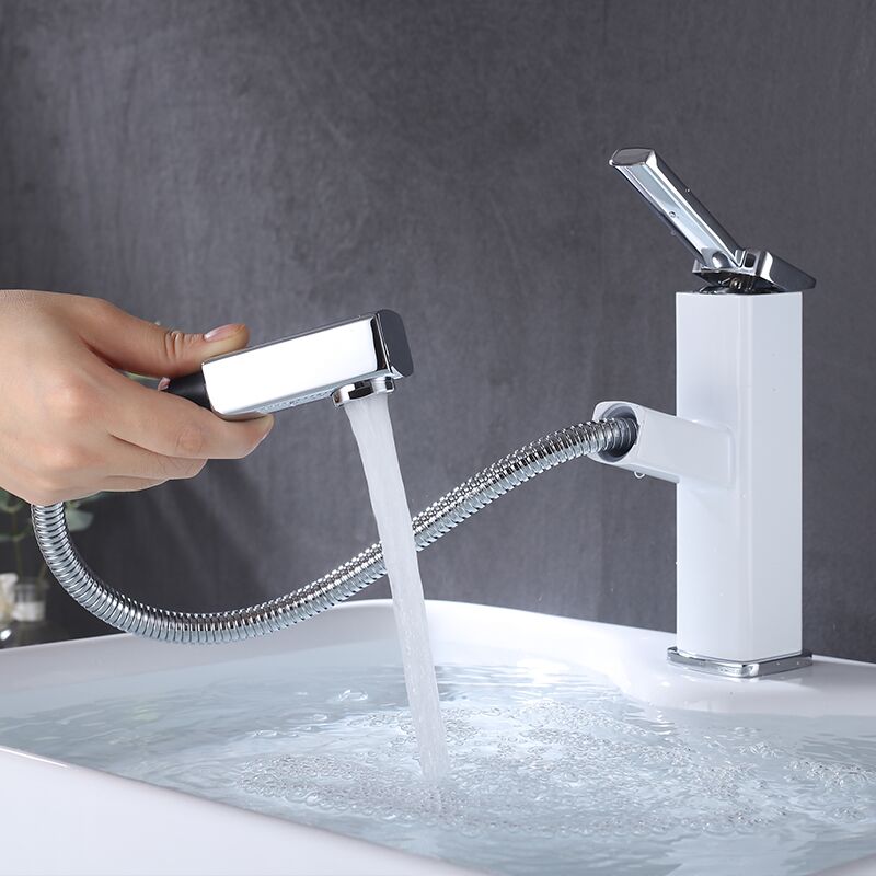 Pull-down sink faucet with swivel spout Pull-down sink faucet with swivel spout