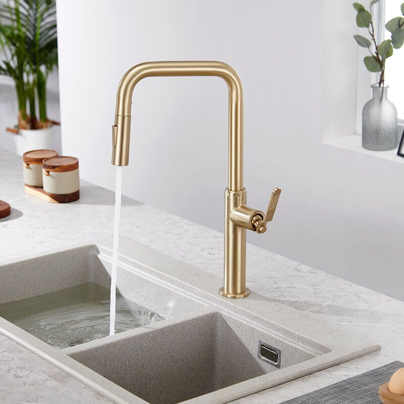 Single Handle Design Kitchen Sink Taps Faucet Pull Out Kitchen Faucets Gold With Pull Down Sprayer (9) Single Handle Design Kitchen Sink Taps Faucet Pull Out Kitchen Faucets Gold With Pull Down Sprayer (9)